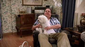The Goldbergs Dog GIF by ABC Network