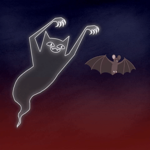 this spooky .GIF of a vampire ghost cat flying through the night alongside a bat with mouse ears