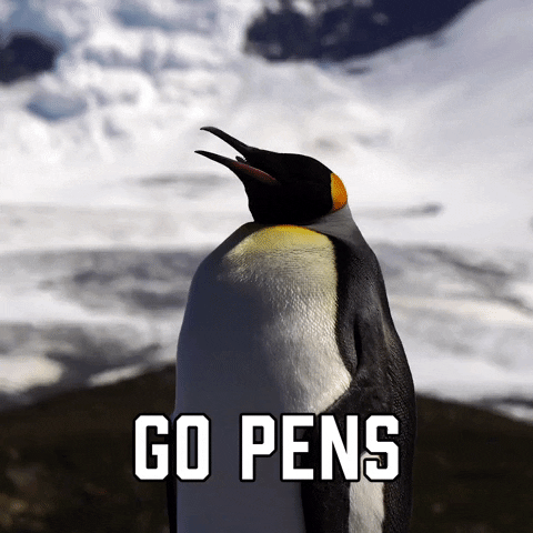 Pittsburgh Penguins Iceburgh GIF - Pittsburgh Penguins Iceburgh Penguins -  Discover & Share GIFs