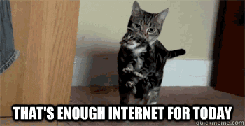 An animated gif video of a cat carrying a kitten away in its mouth with the text "that's enough internet for today"