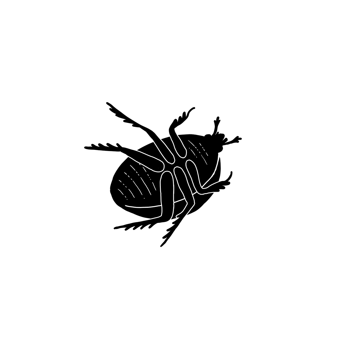 Insect Beetle GIF by Laurène Boglio Find & Share on GIPHY