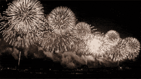 fourth of july fireworks GIF