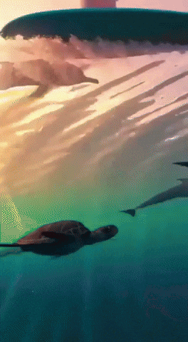 Chile GIF