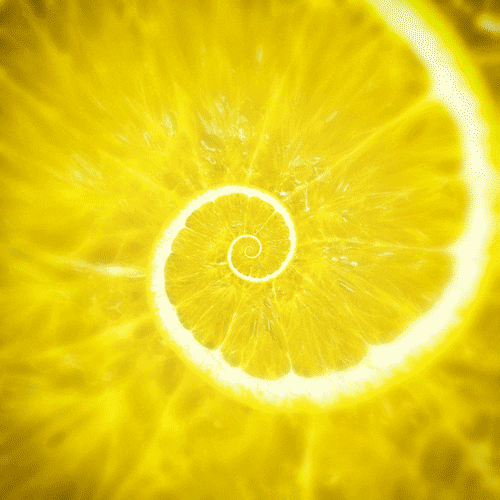 yellow loop GIF