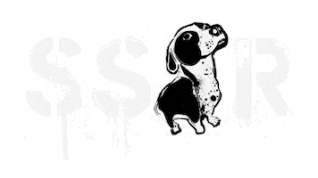 SSR Sticker