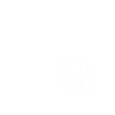 Dog Sticker