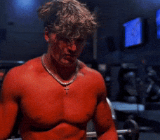 K9 Gains GIF