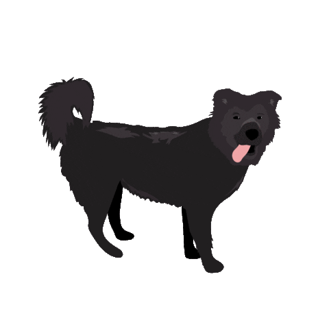 Happy Dog Sticker by Wagboo