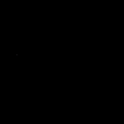 Honeymoon GIF