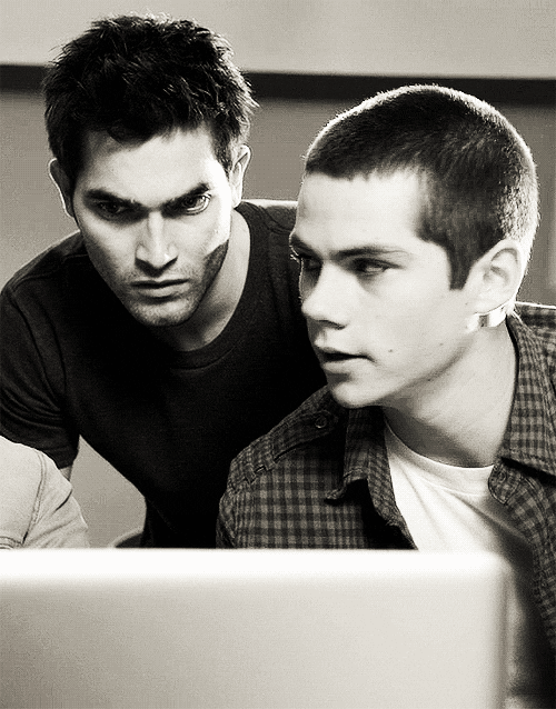 sterek