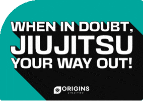 GIF by Origins Martial Arts