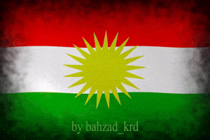 Jon Snow Turkish GIF