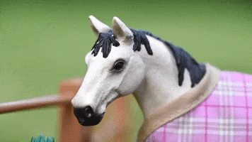 Horse Hotel GIF by Skint Dressage Daddy