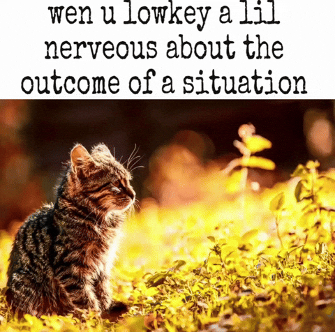 Nervous Situation GIF