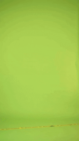 Sportrabatt GIF