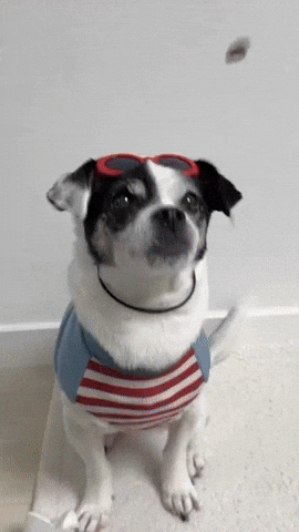 흑백요리사 GIF