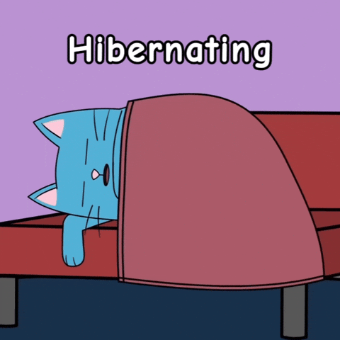 Checking Out Do Not Disturb GIF