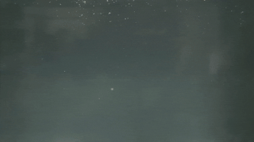Damikirig GIF