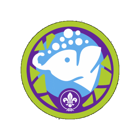 Sticker by World Scouting