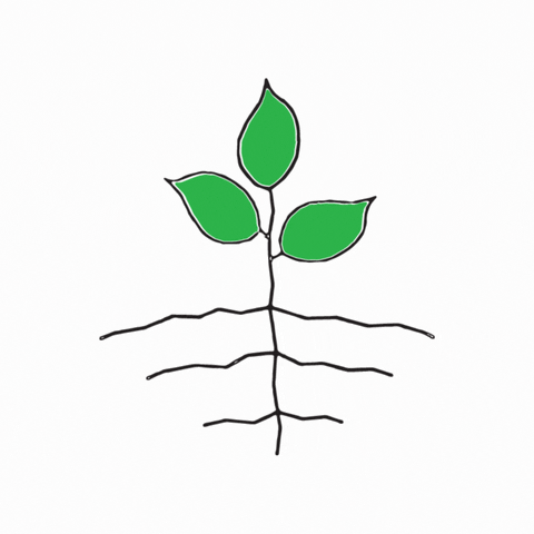 Jo Anne's Place Health Foods GIF