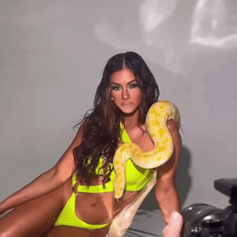 Miss Colombia GIF