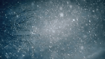 dzsigi snow winter GIF