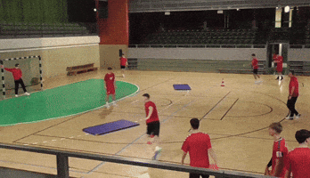Handballpedia GIF