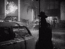 Raining Alan Ladd GIF