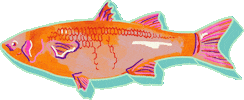 Animated Sticker