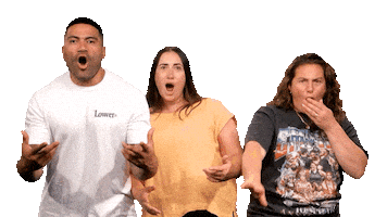 Nz Take It Back Sticker by Flava