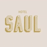 hotelsaul GIF