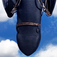 how to train your dragon hello GIF