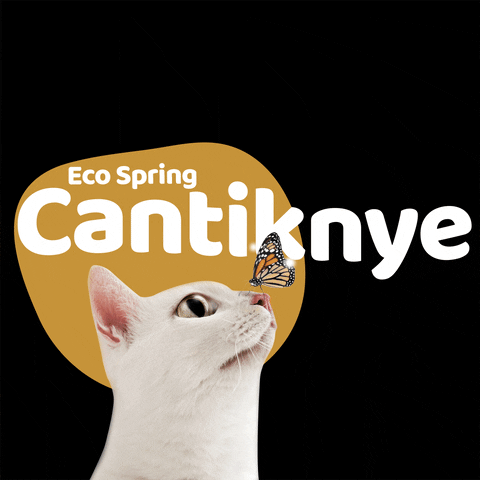 White Cat GIF by Eco Spring  at Iskandar Malaysia