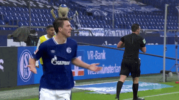 GIF by FC Schalke 04