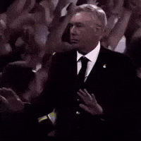 Carlo Ancelotti Football GIF