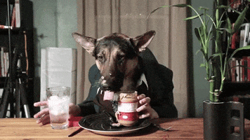 peanut butter eating GIF by Digg