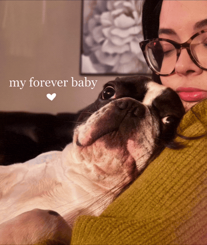 French Bulldog GIF by Oh Hello Co.