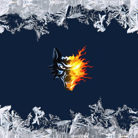 BruleursDeLoups GIF