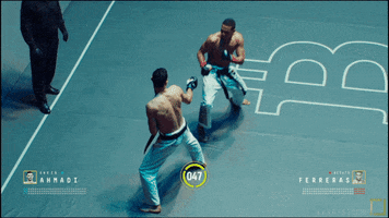 mma fighting GIF by Karate Combat