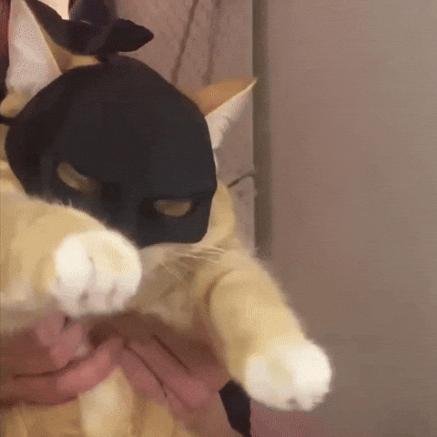 Batman GIF
