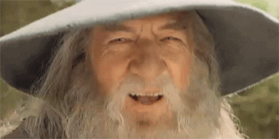 Gandalf GIF by memecandy