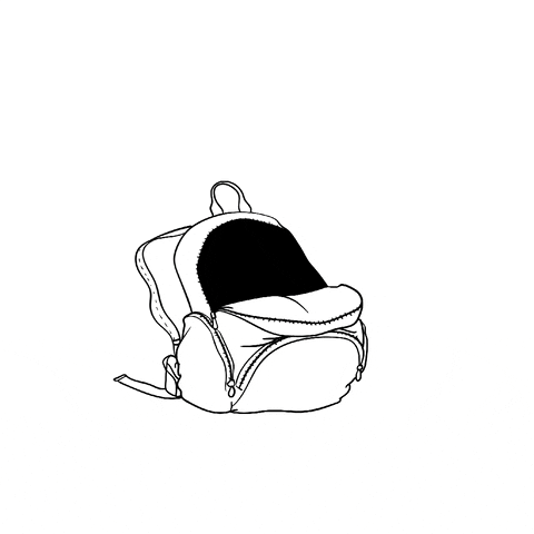 branikpivo GIF