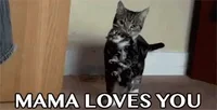 Daughter GIF by memecandy