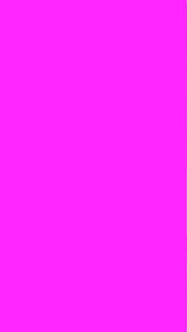LModelz GIF
