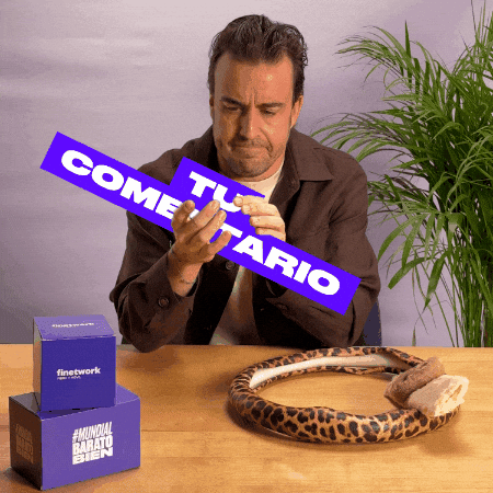 Fernando Alonso GIF by Finetwork