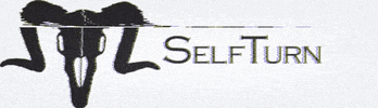 SelfTurn GIF