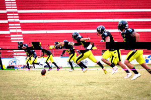 Rio Preto Weilers GIF