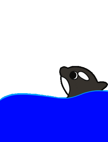 Orca 游泳 Sticker