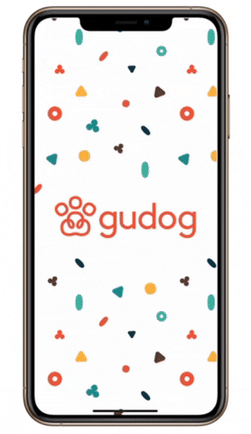 Gudog GIF