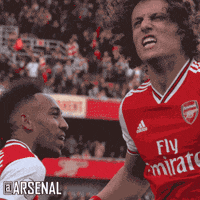 GIF by Arsenal